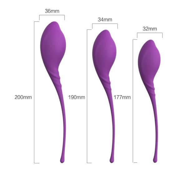 Vaginalinių kamuoliukų rinkinys ,,Lamboll“ - Image 3