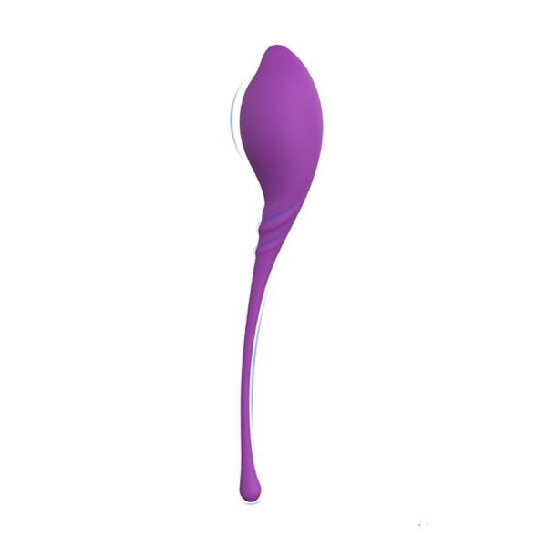 Vaginalinių kamuoliukų rinkinys ,,Lamboll“ - Image 2